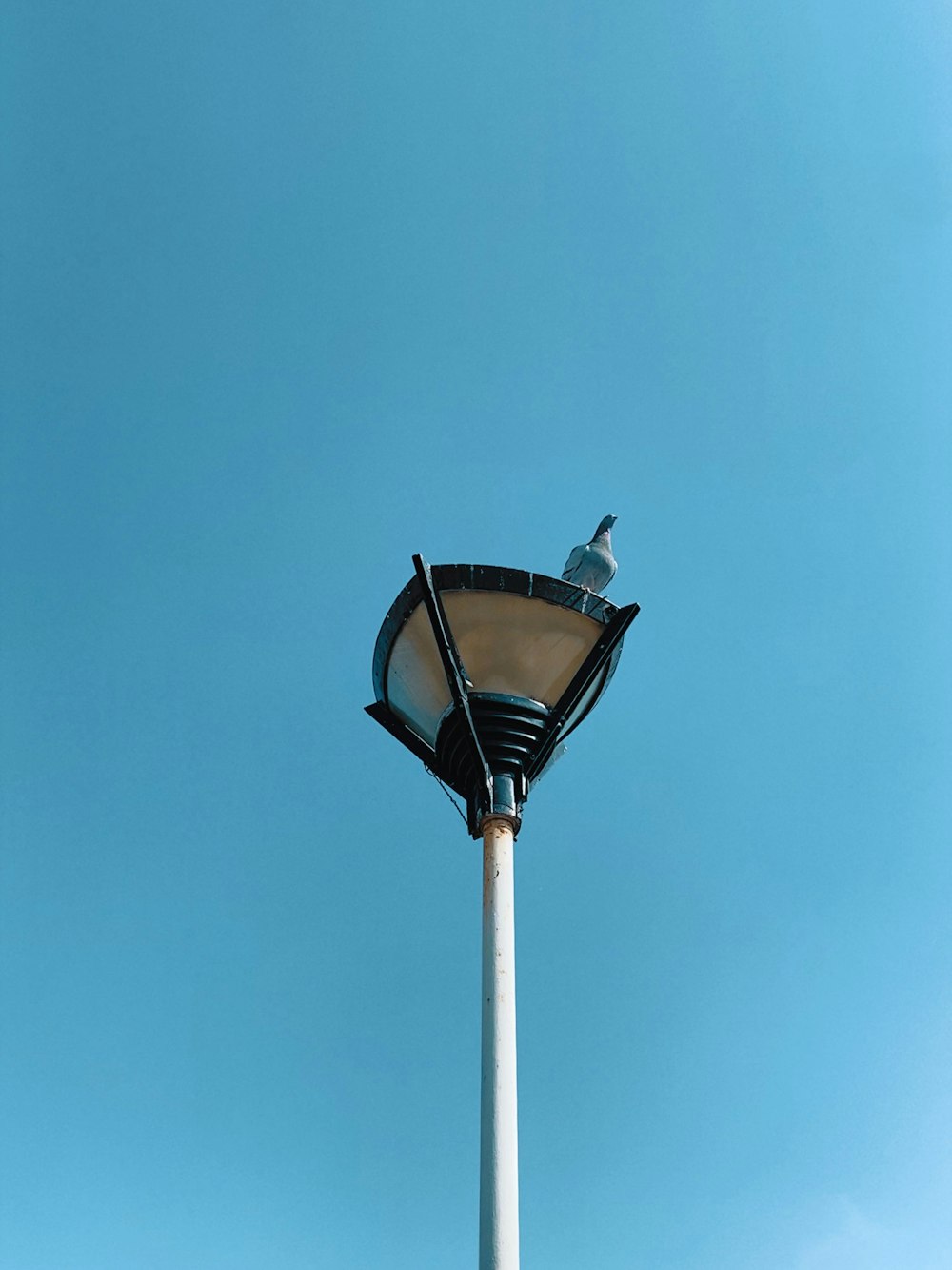 black and white street lamp