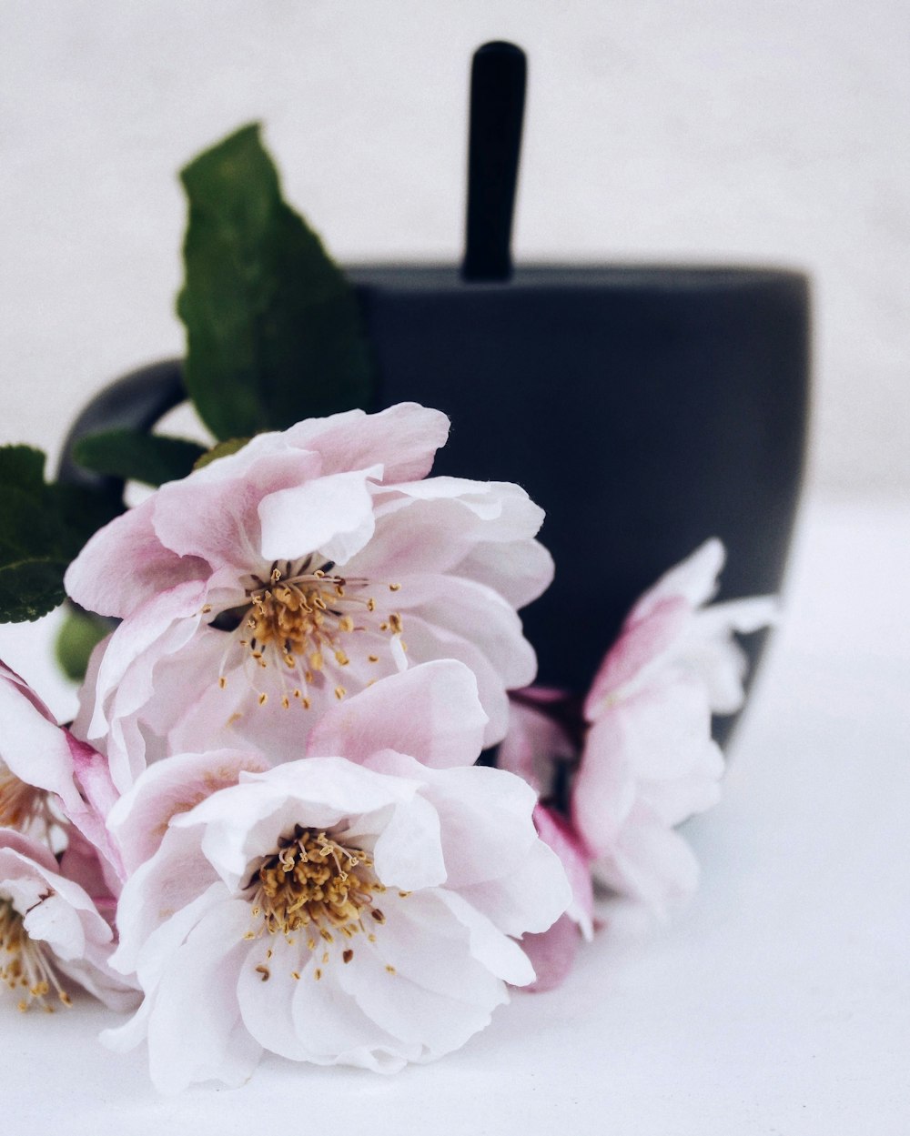 a black vase with pink flowers in it