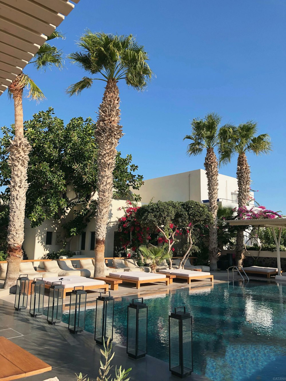 brown wooden chairs and tables near swimming pool during daytime