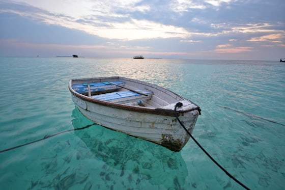 Fishing Tour