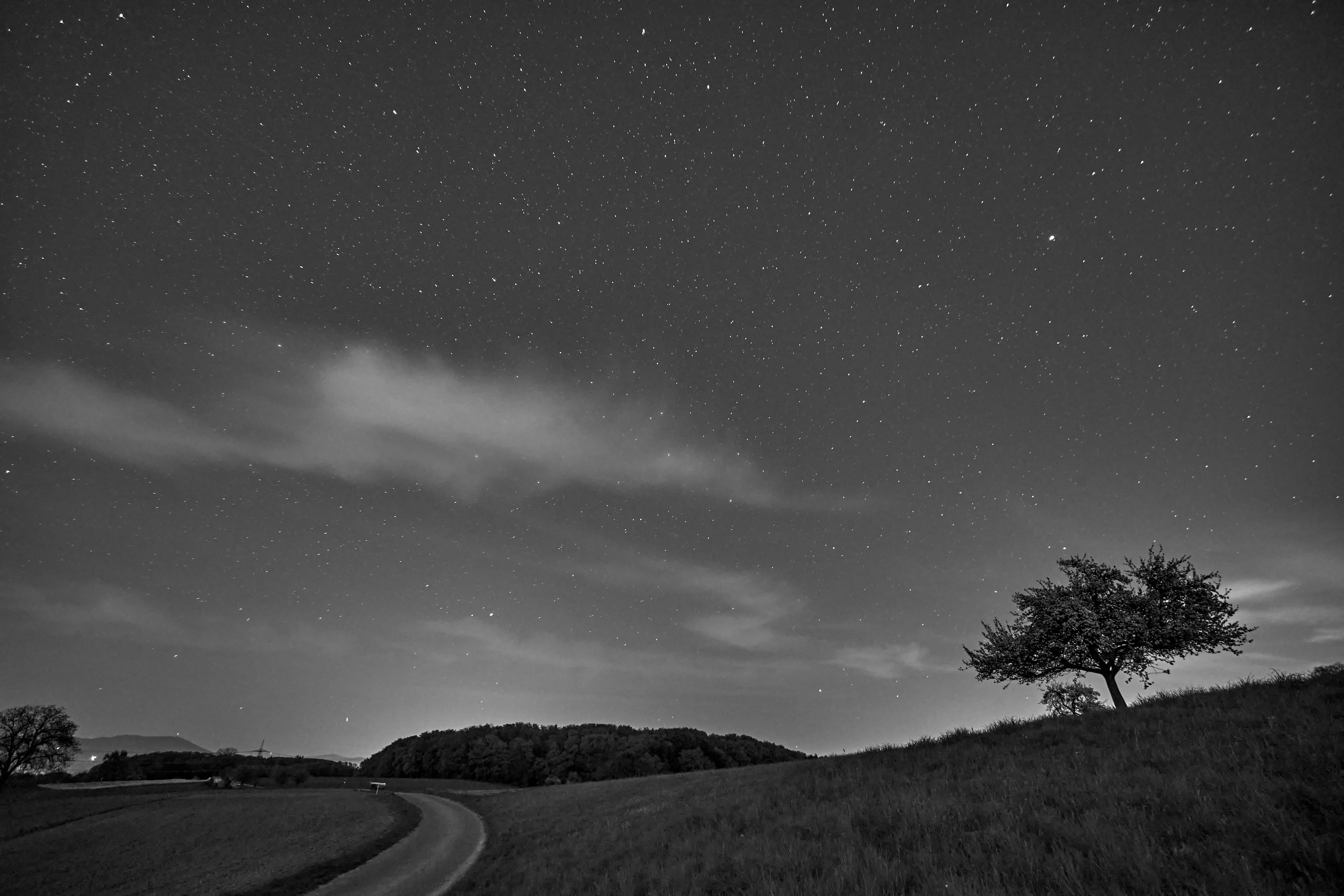 Photo by wolfgang_hasselmann