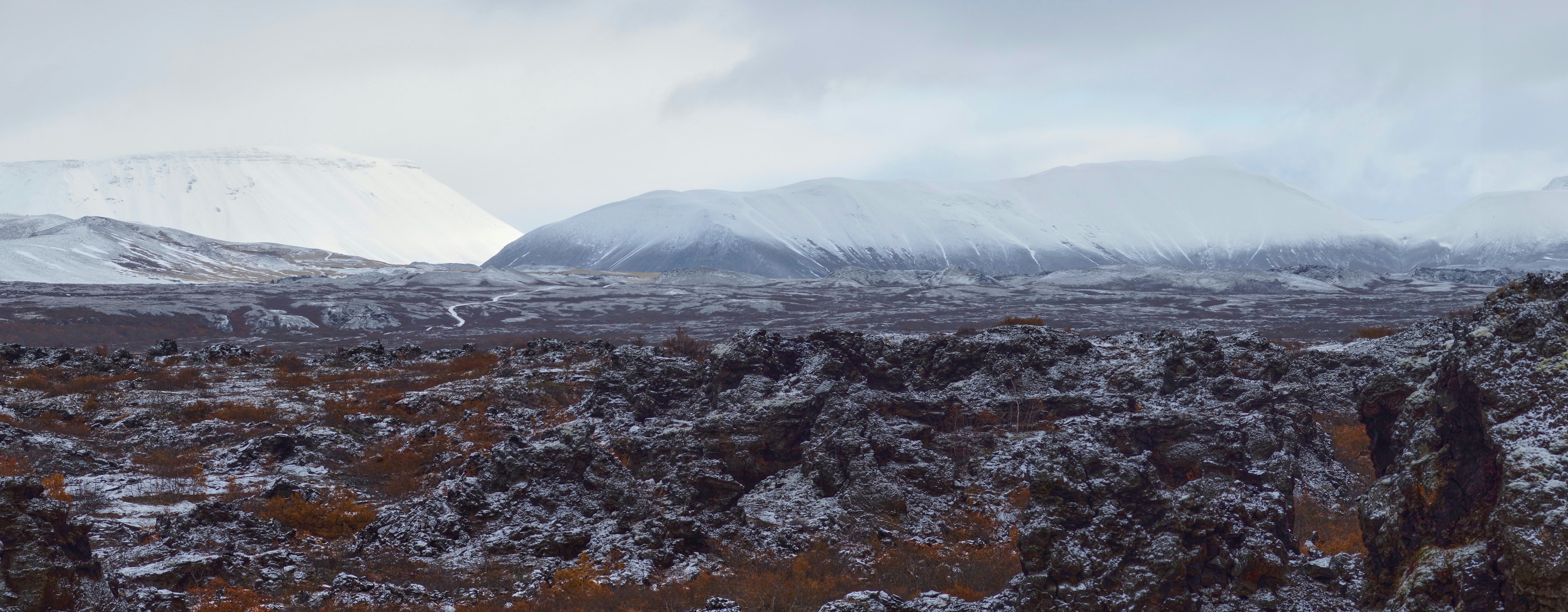 Photo by wolfgang_hasselmann