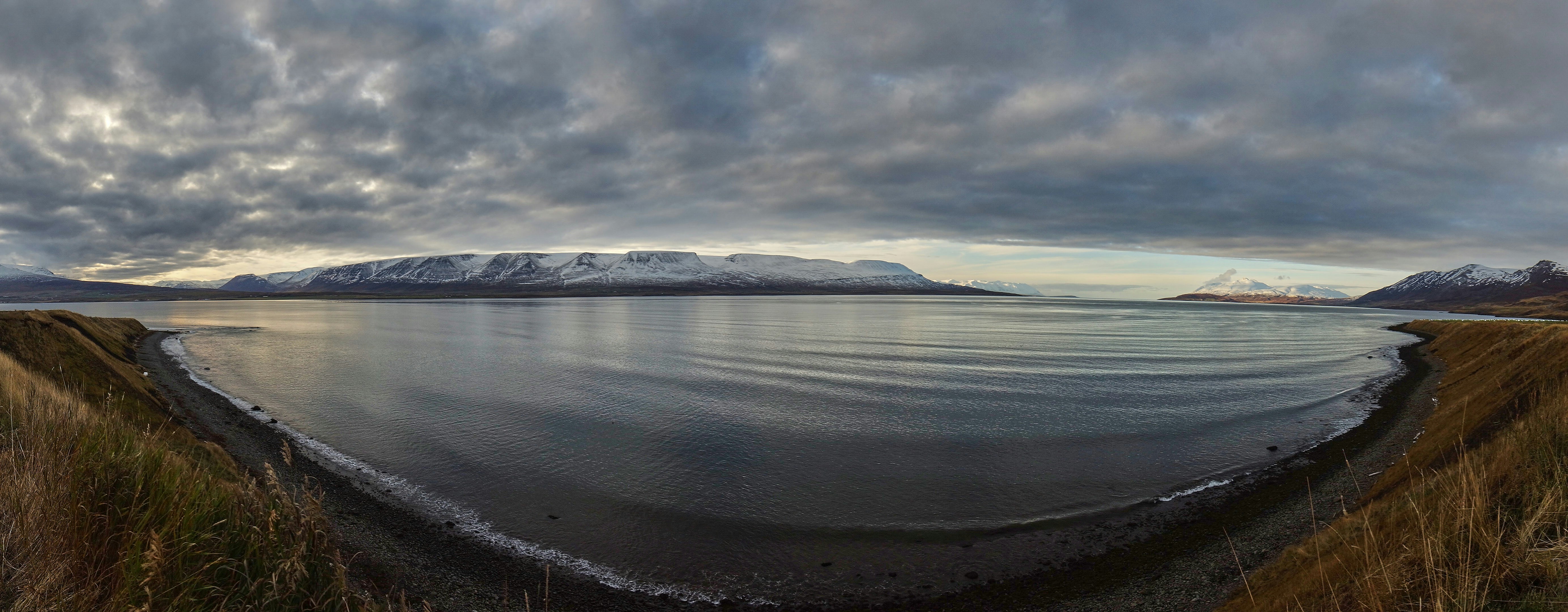 Photo by wolfgang_hasselmann