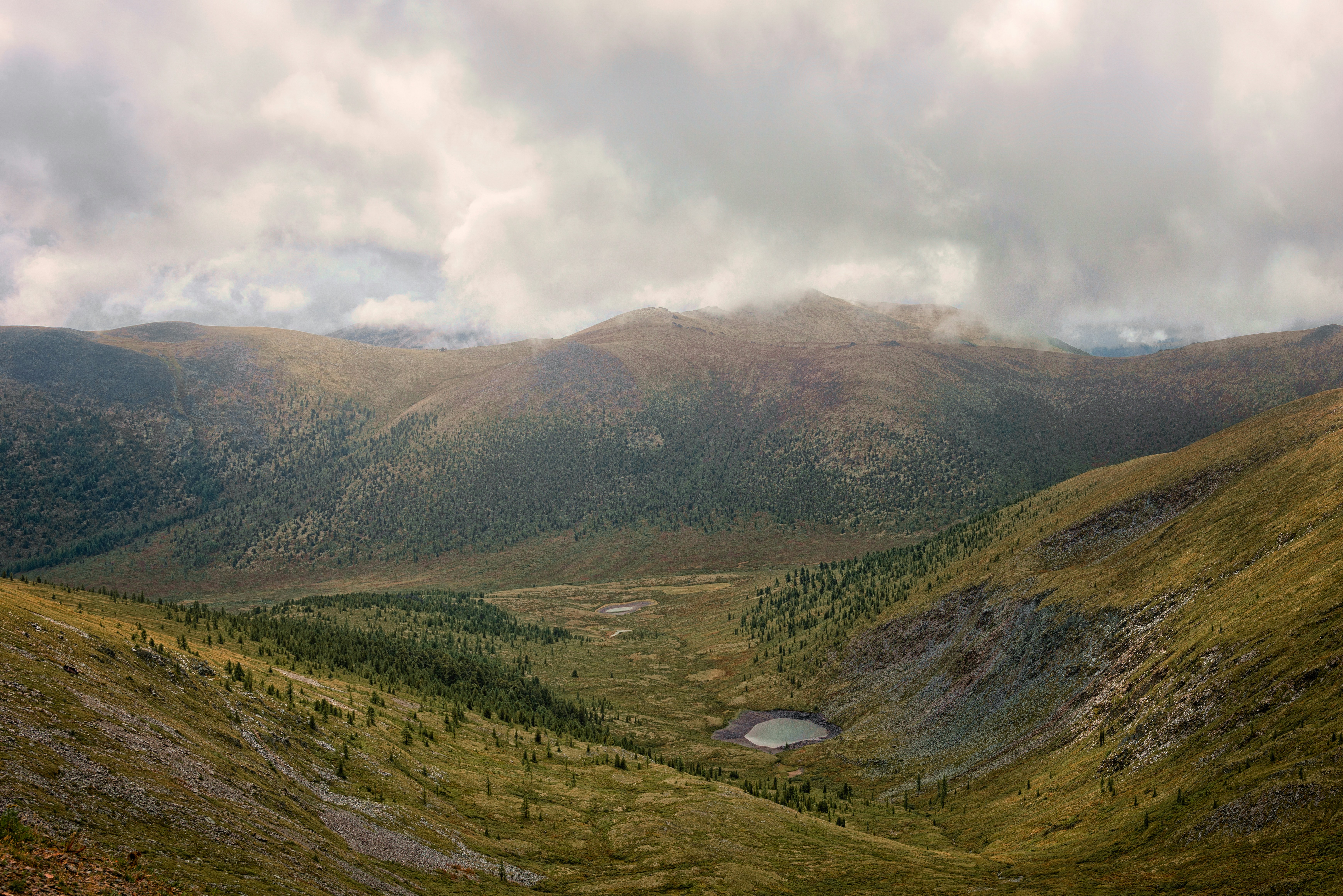 Photo by ryasnyansky