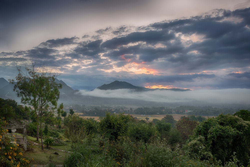 green trees and mountains under cloudy sky during daytime