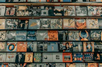 Rows of vinyl records on shelves in a music store