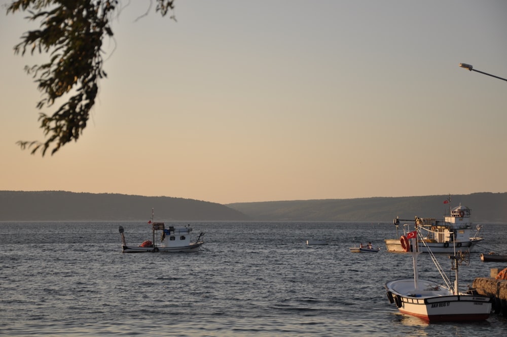 white and brown boat on sea during daytime