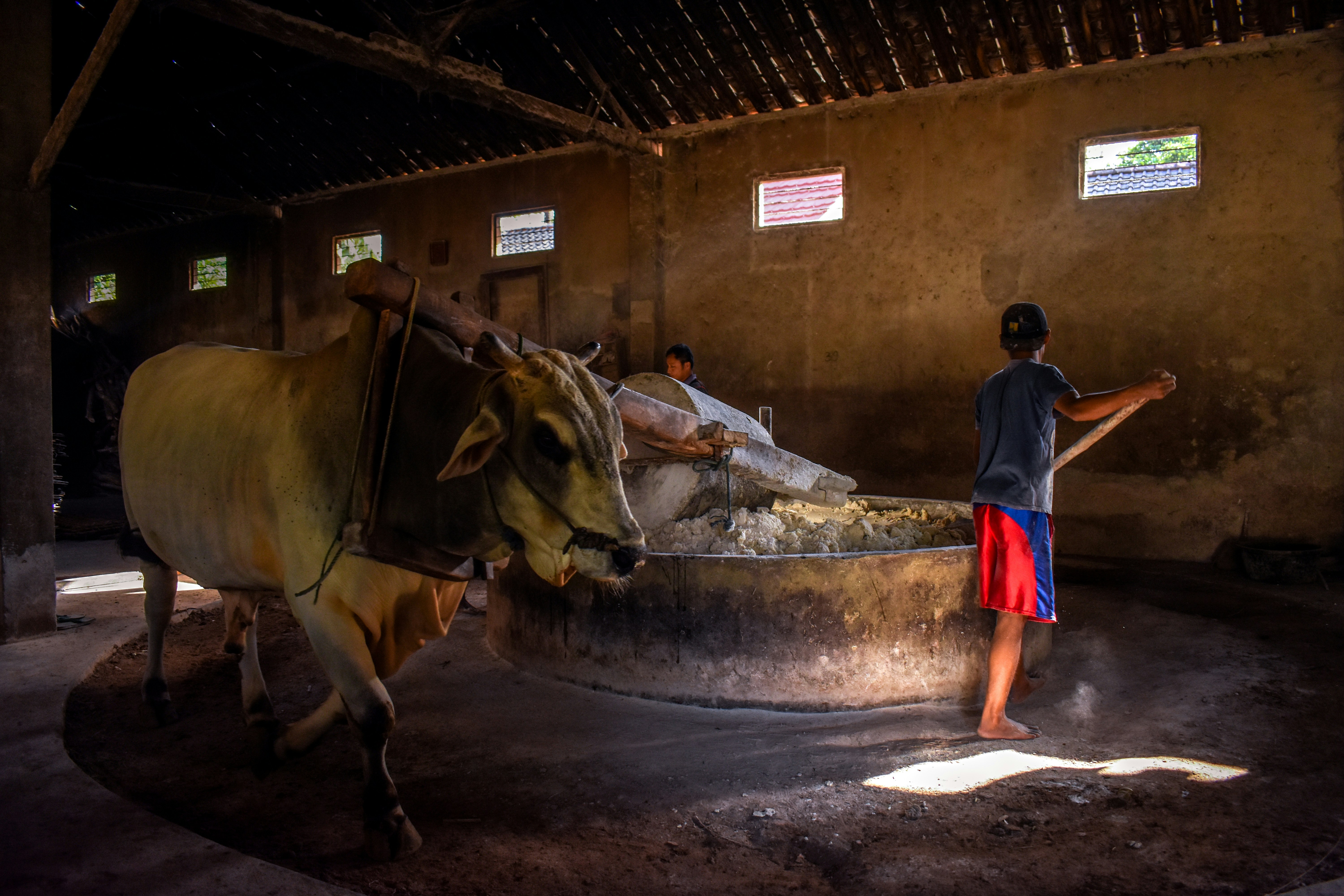 Photo by madinasidarto