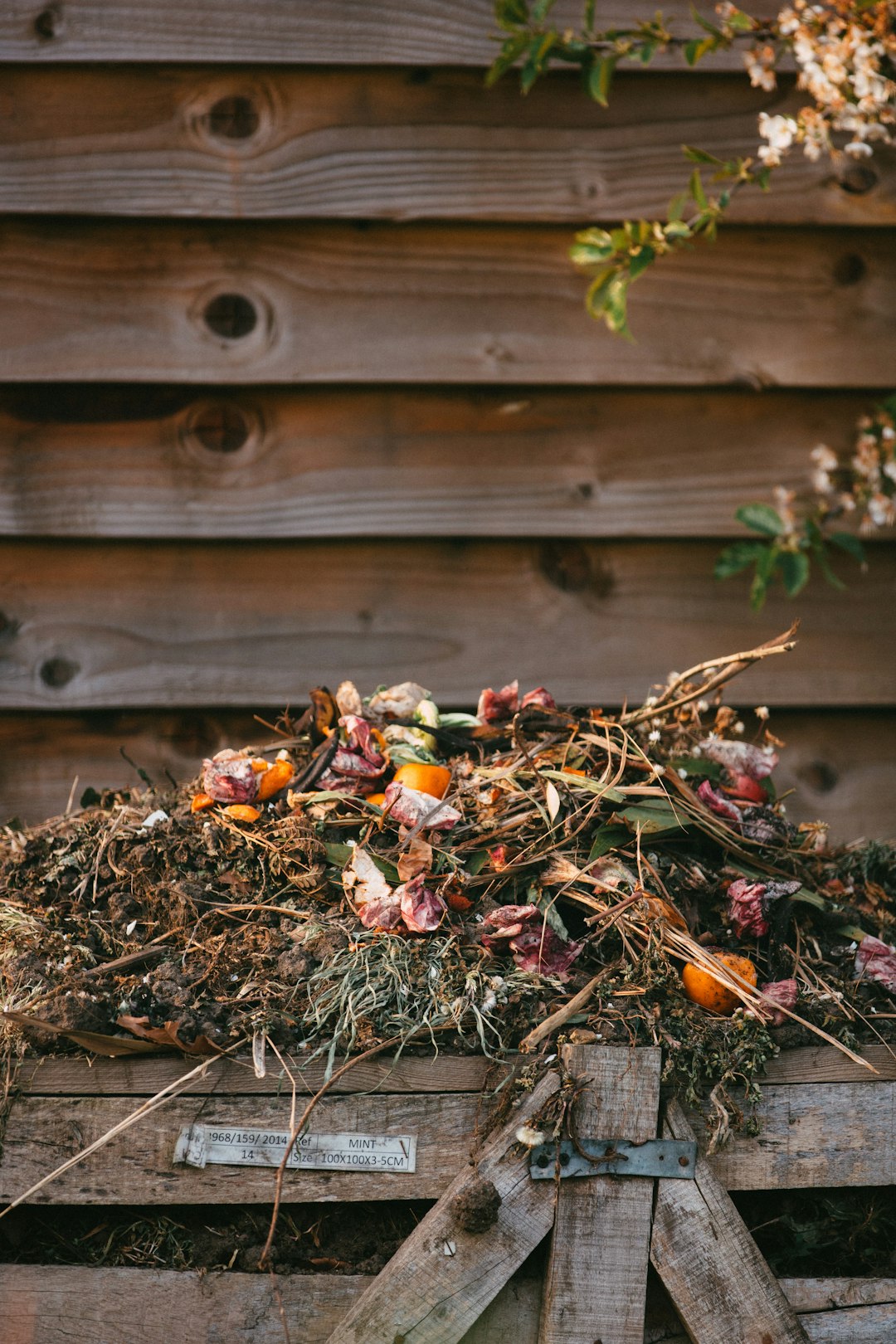 dried leaves on ground beside wooden fence