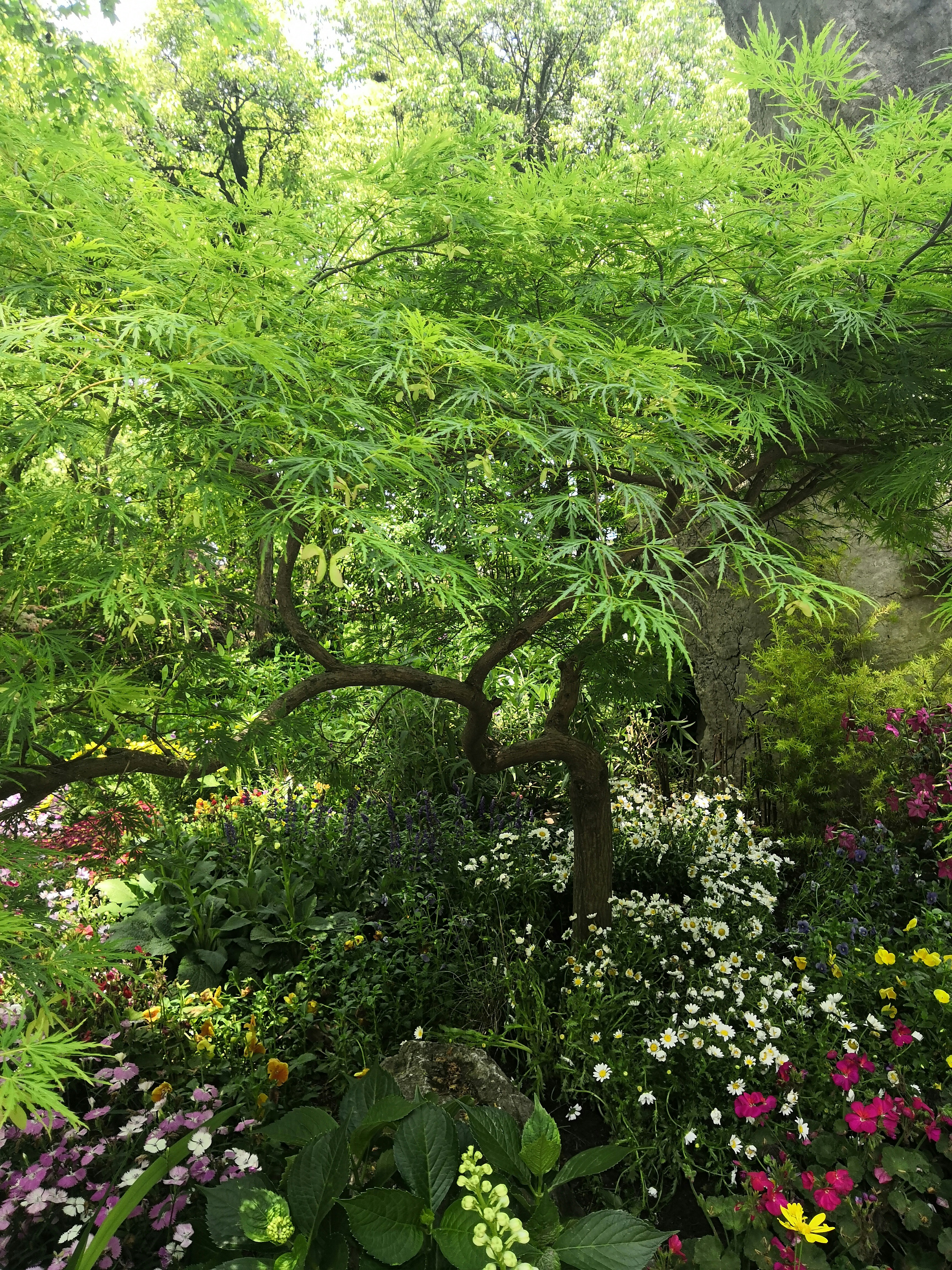 Colorful and diverse flower garden with vibrant blooms and healthy green plants in full season