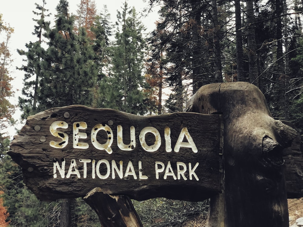 Señalización de madera marrón de bienvenida al bosque