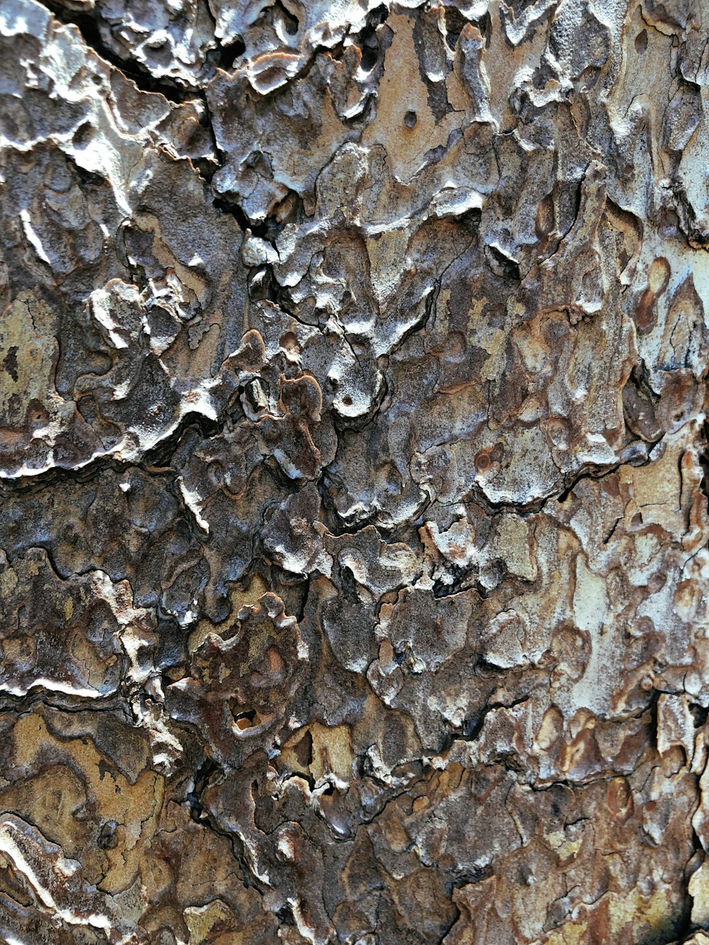 brown and gray stone wall