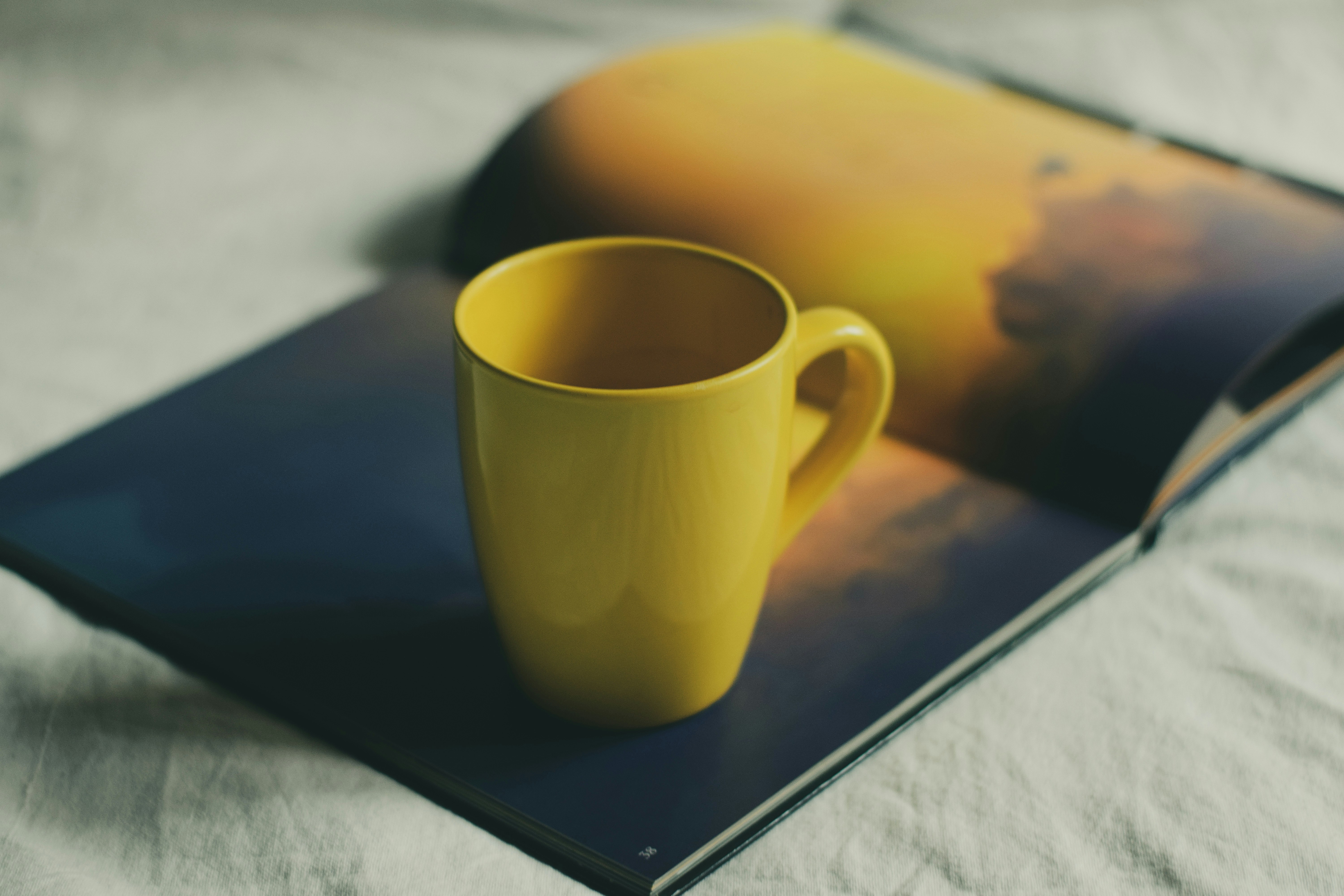 Photo by richasharma96