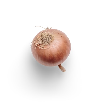 A single onion with a brown outer layer and dry roots is placed against a plain white background. The texture of the onion's skin is slightly papery, and it has a small stem at the bottom.