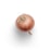 A single onion with a brown outer layer and dry roots is placed against a plain white background. The texture of the onion's skin is slightly papery, and it has a small stem at the bottom.