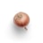 A single onion with a brown outer layer and dry roots is placed against a plain white background. The texture of the onion's skin is slightly papery, and it has a small stem at the bottom.