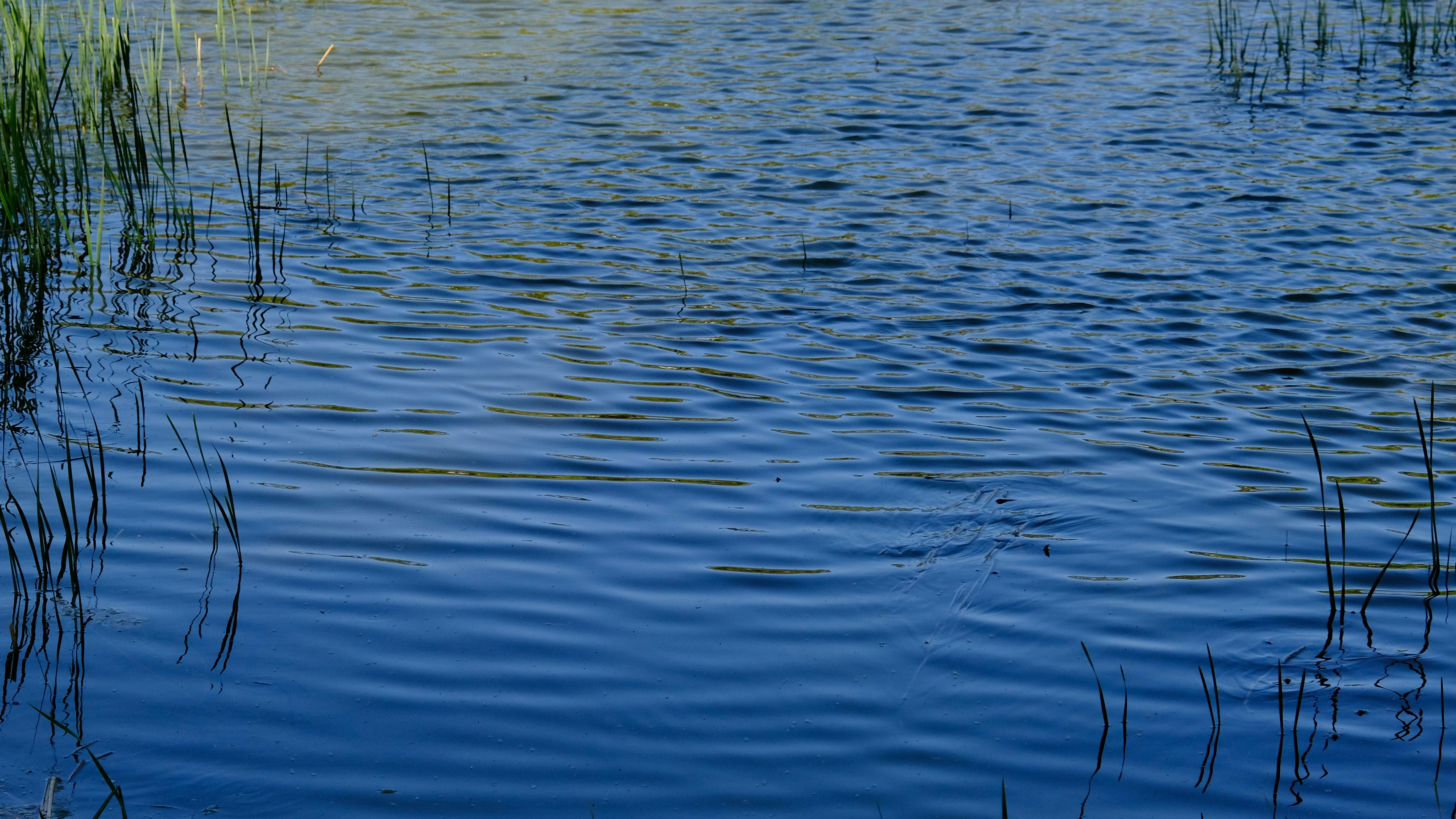 body of water during daytime