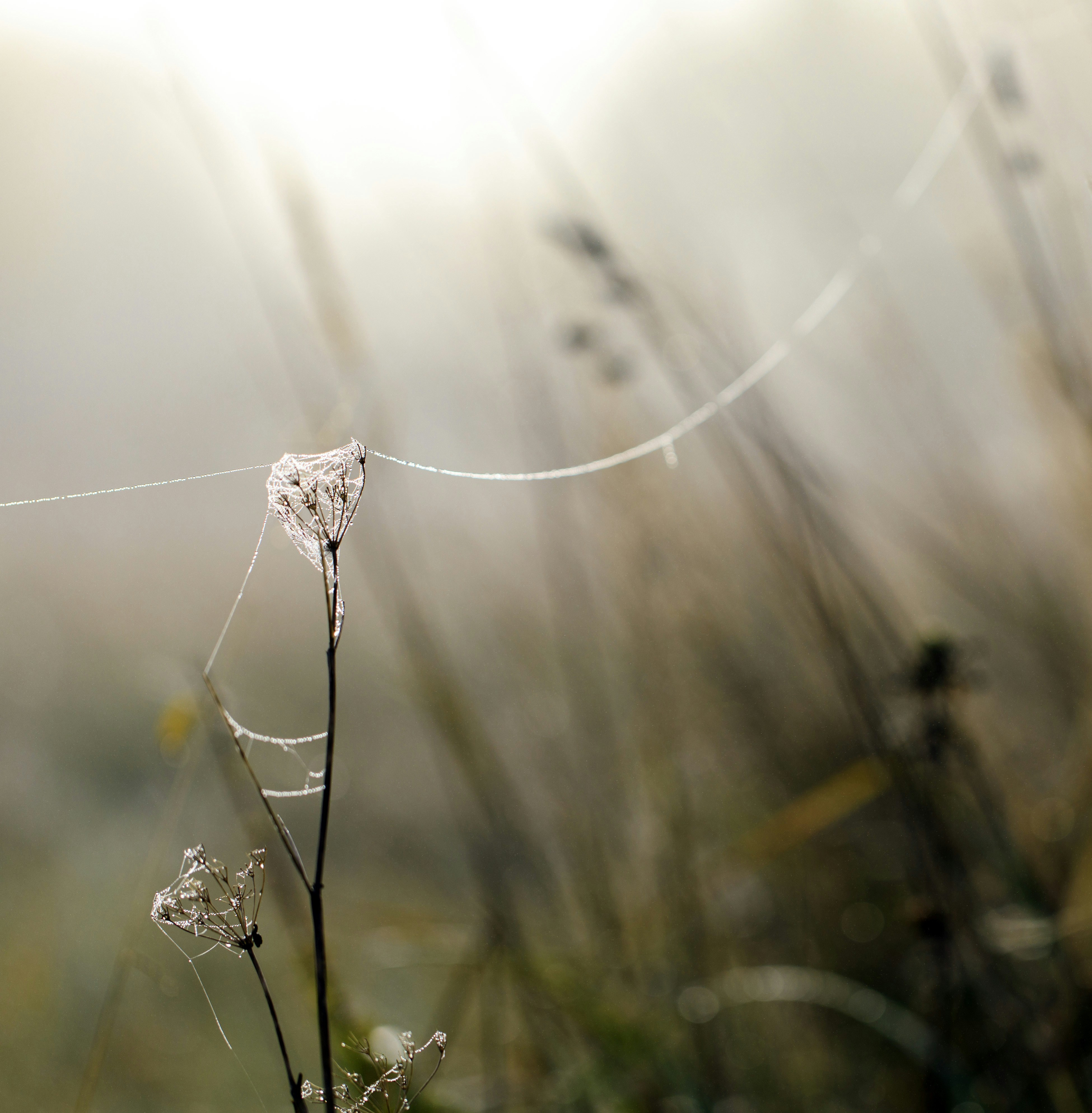 Photo by zmachacek