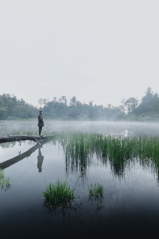 man in black jacket standing on brown wooden dock over body of water during foggy weather in Ranu Regulo Indonesia