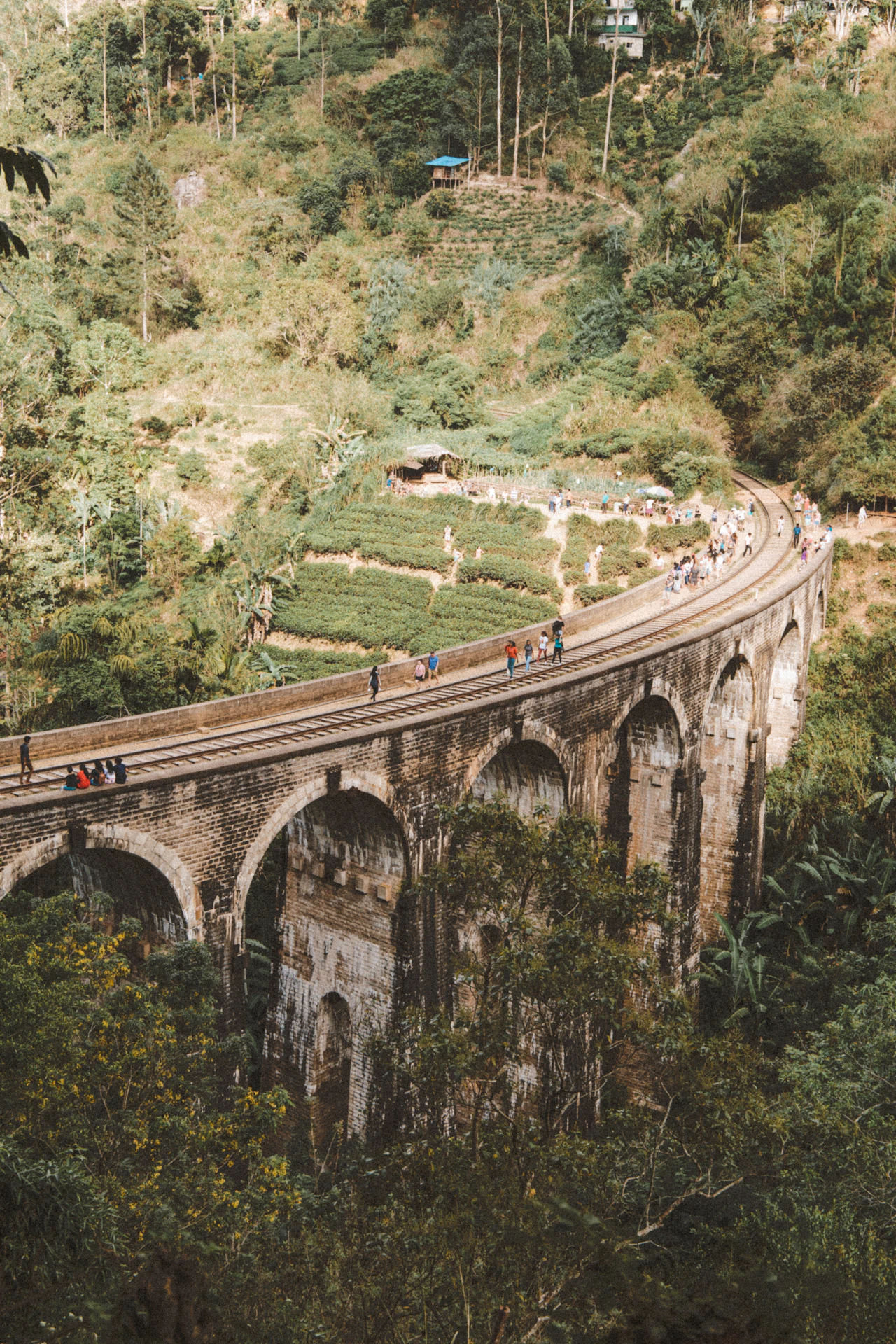 Sri Lanka 3 Day Relax Tour