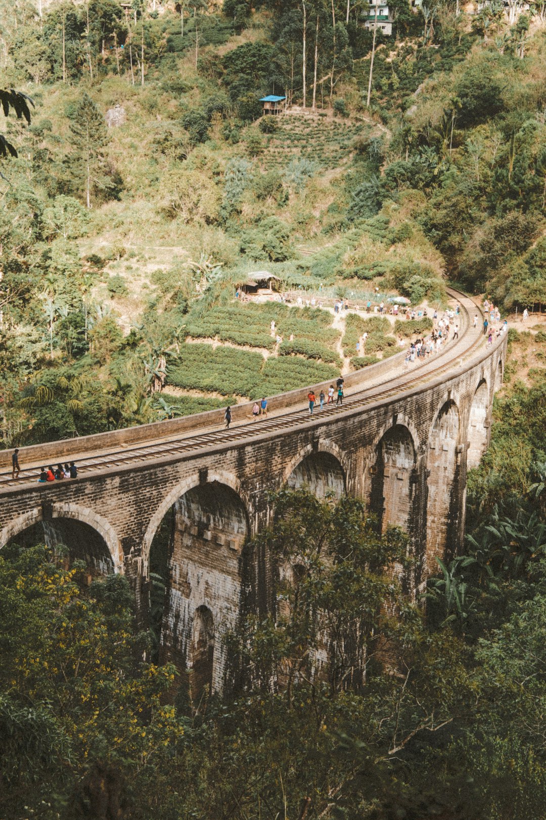 brown concrete bridge over green grass field during daytime