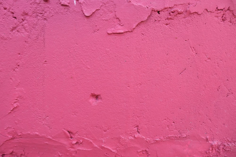 pink concrete wall during daytime