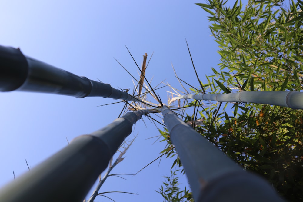 gray metal pole with green plants