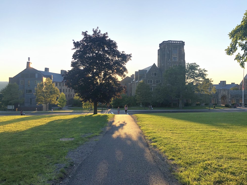 green grass field with trees and building in distance