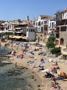 people on beach during daytime