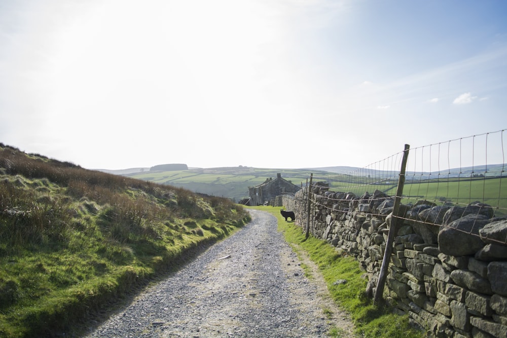 gray concrete road between green grass field during daytime