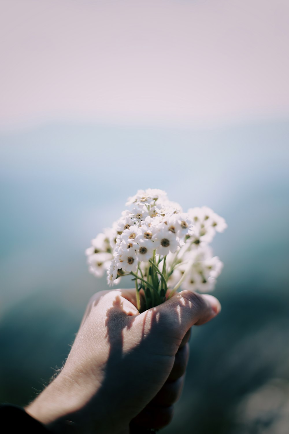 white flower on persons hand