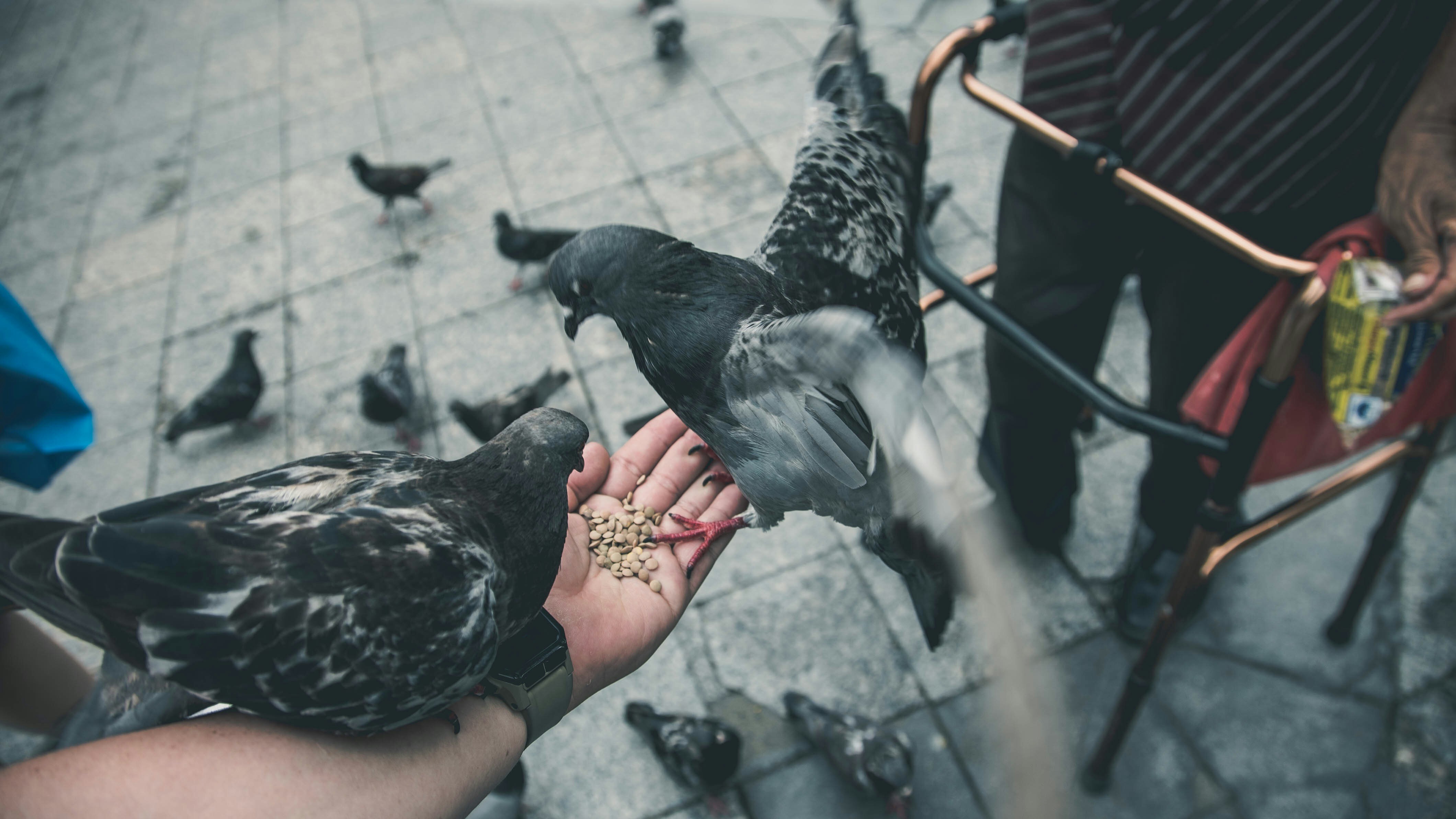 Photo by madoctopusmedia