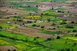 green grass field during daytime