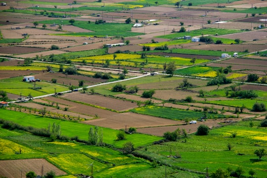 green grass field during daytime in Crete Greece