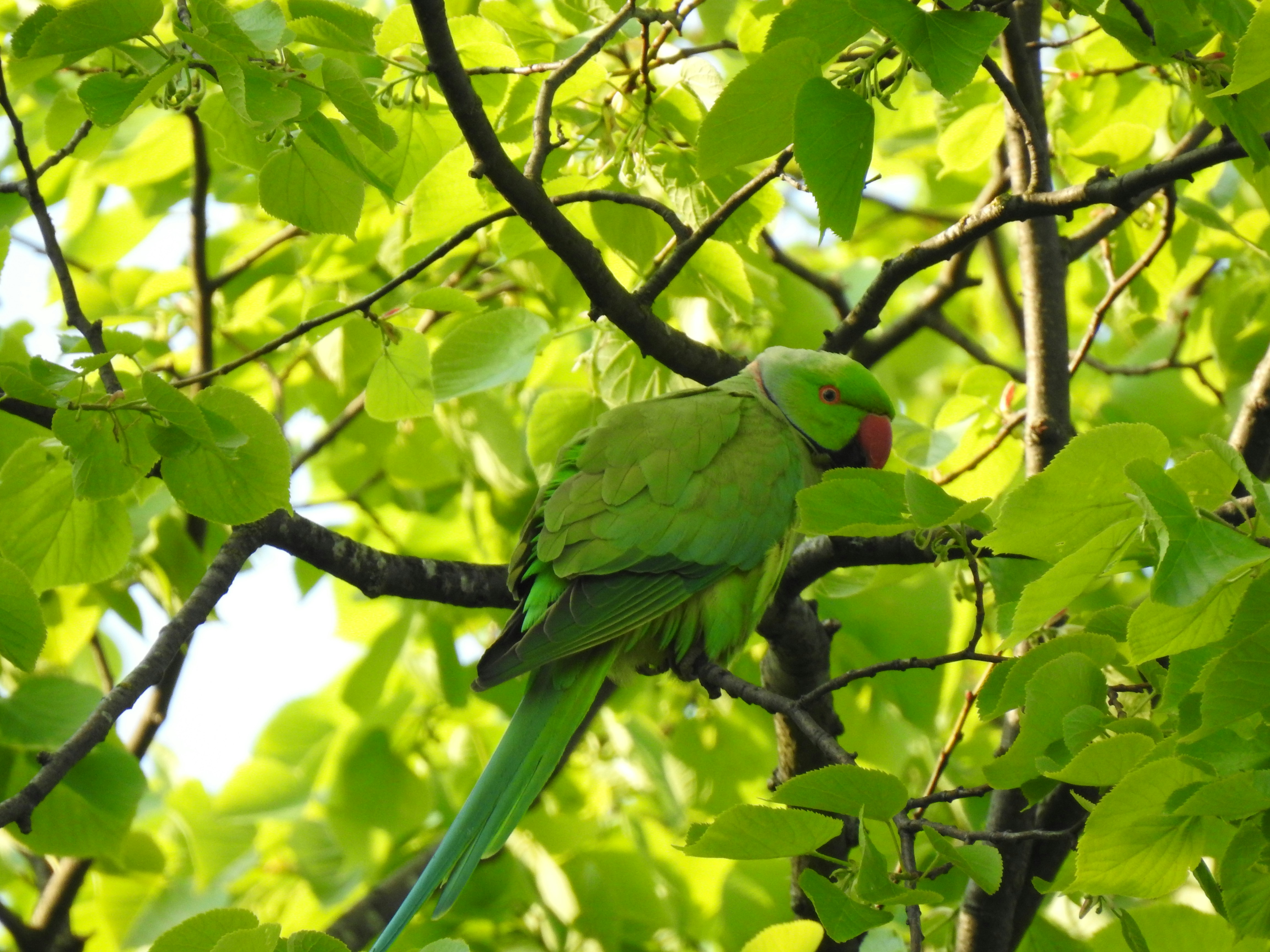 Photo by vijaychadha