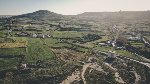 Orthophotography image highlighting precise mapping of a rural terrain.