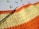 Colorful crochet work with alternating stripes of orange and yellow yarn. A blue crochet hook is placed on the work. Surrounding the crochet piece, there are several plastic stitch markers in pink, blue, and green colors.