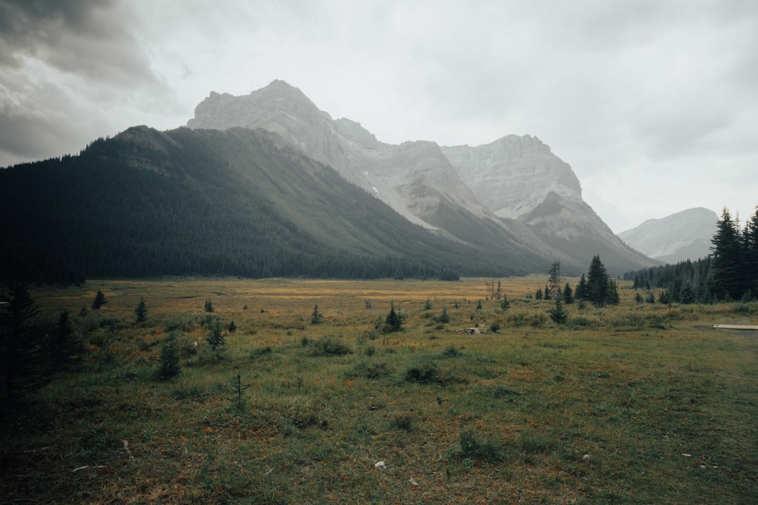 travelers stories about Hill in Mount Assiniboine Provincial Park, Canada