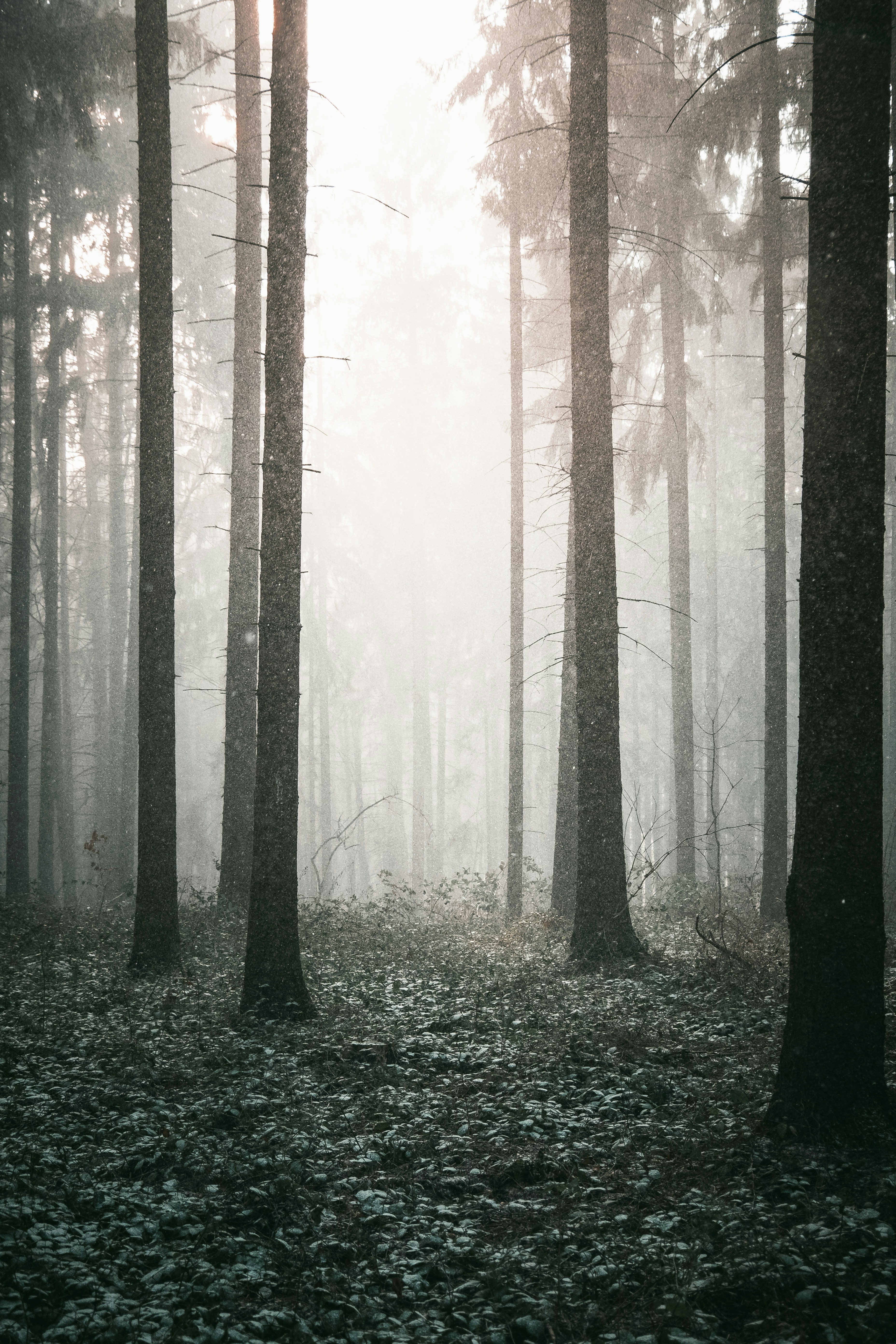 Photo by martinlatal