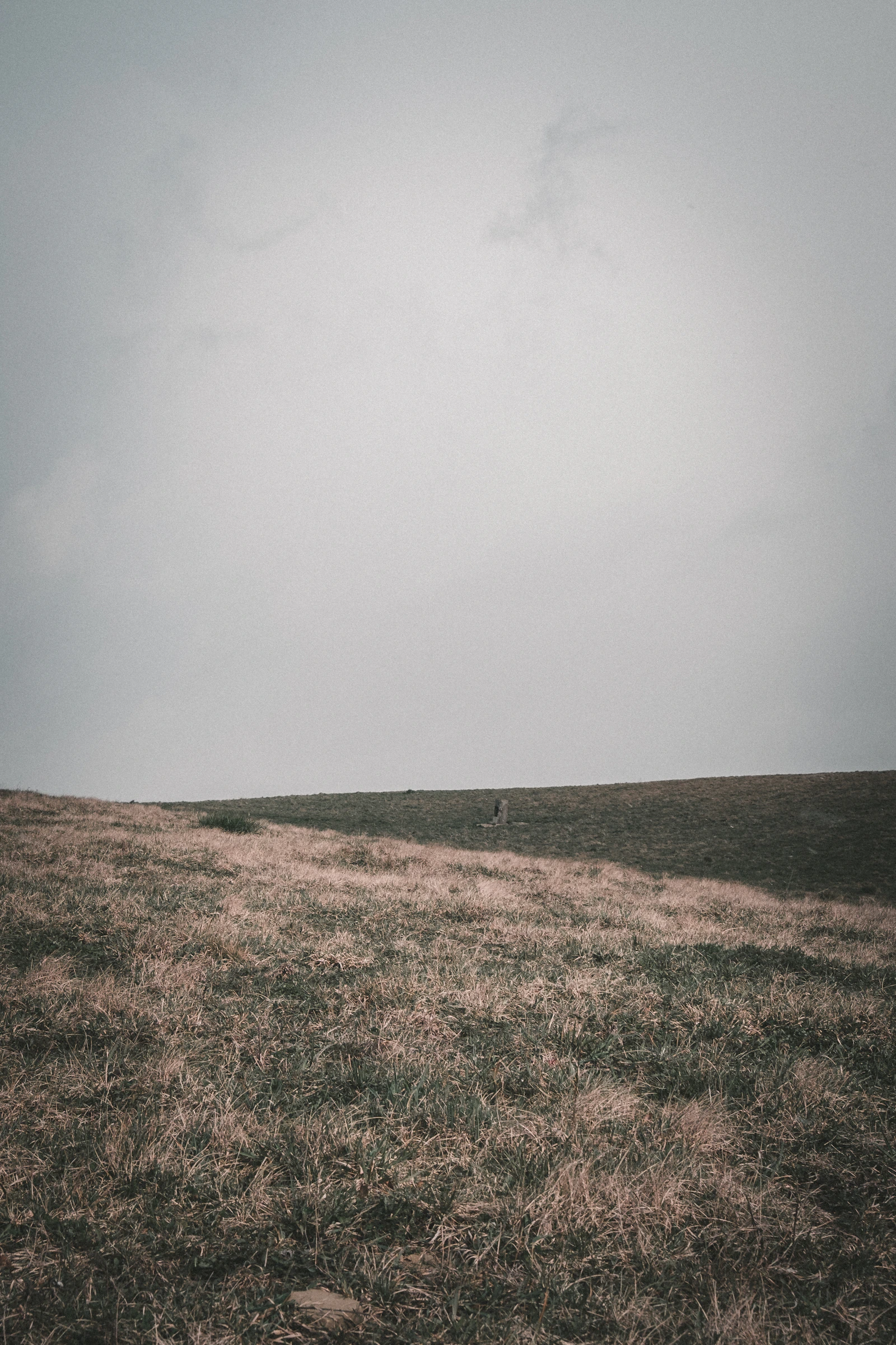 Minimalistisch groen landschap onder een bewolkte hemel