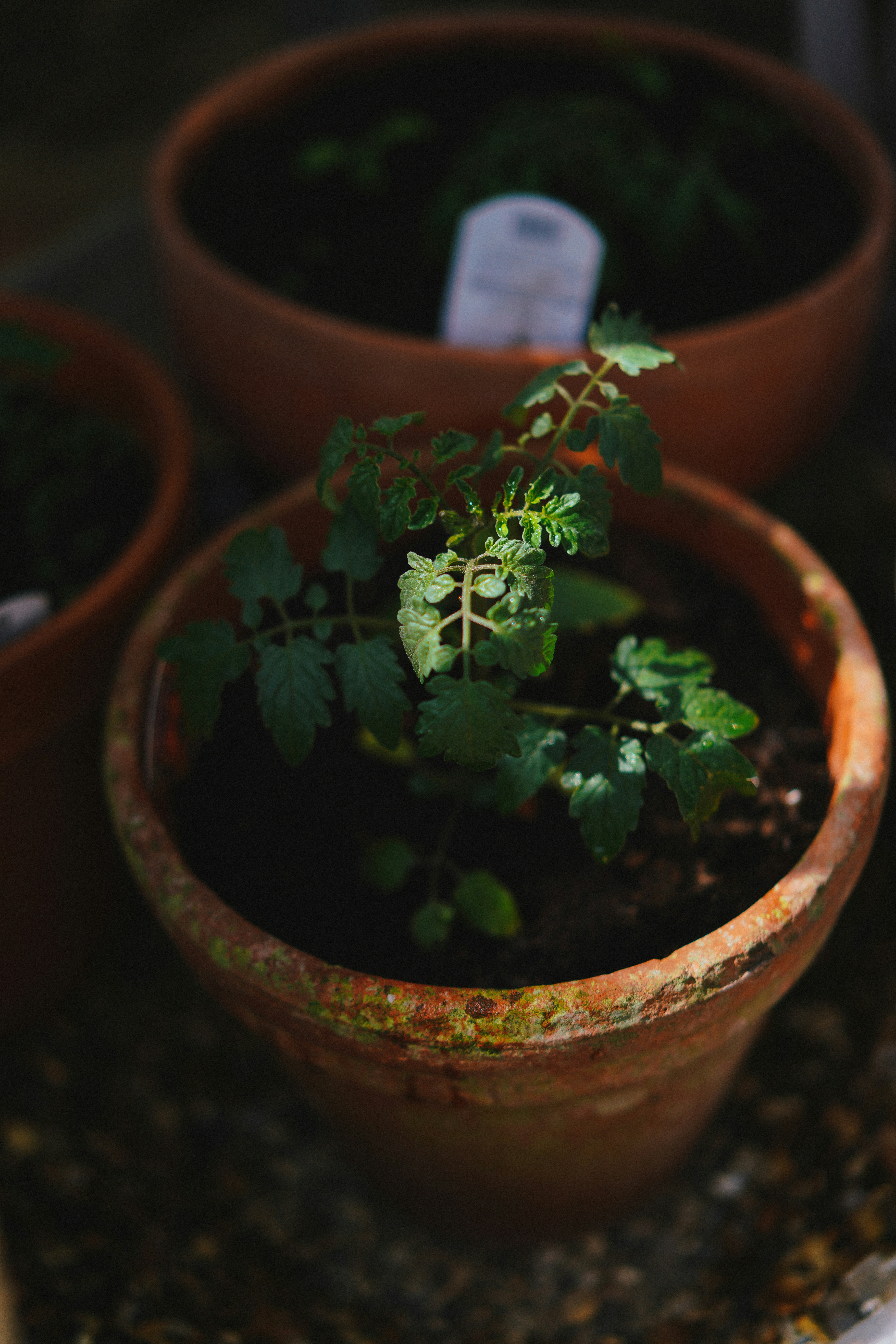 Photo by philhearing