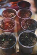 Children planting vegetables together in a sunny garden.