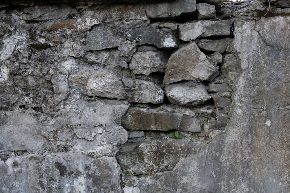 gray and black brick wall