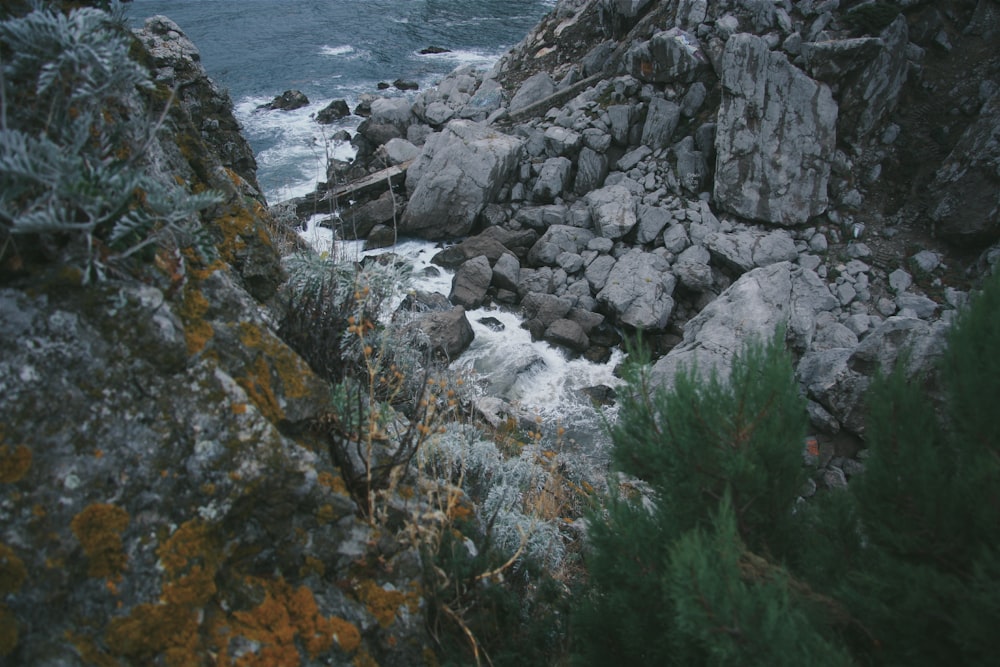 gray rocky shore during daytime