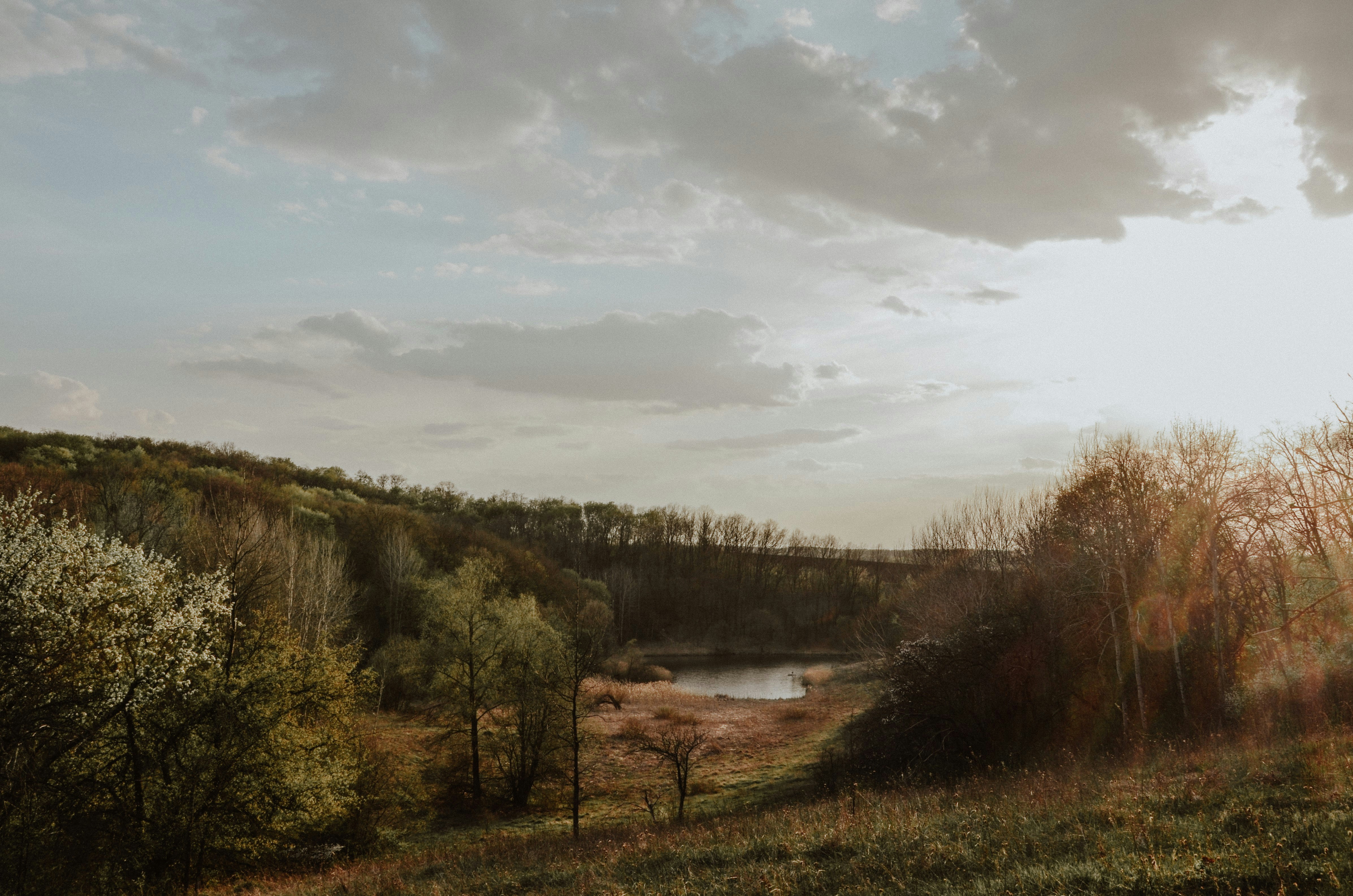 Photo by poliezhaievv