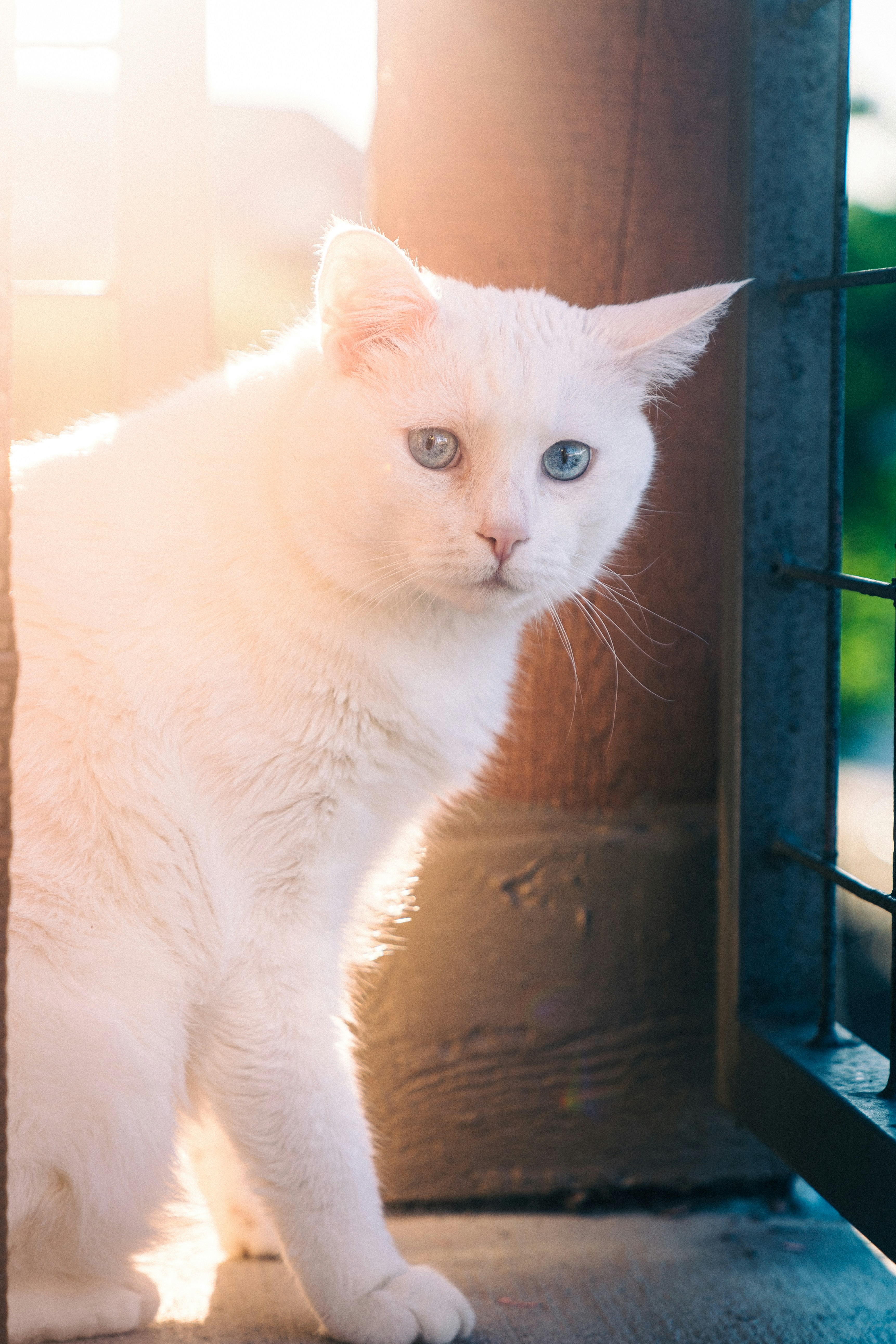 Photo by bycharlieco