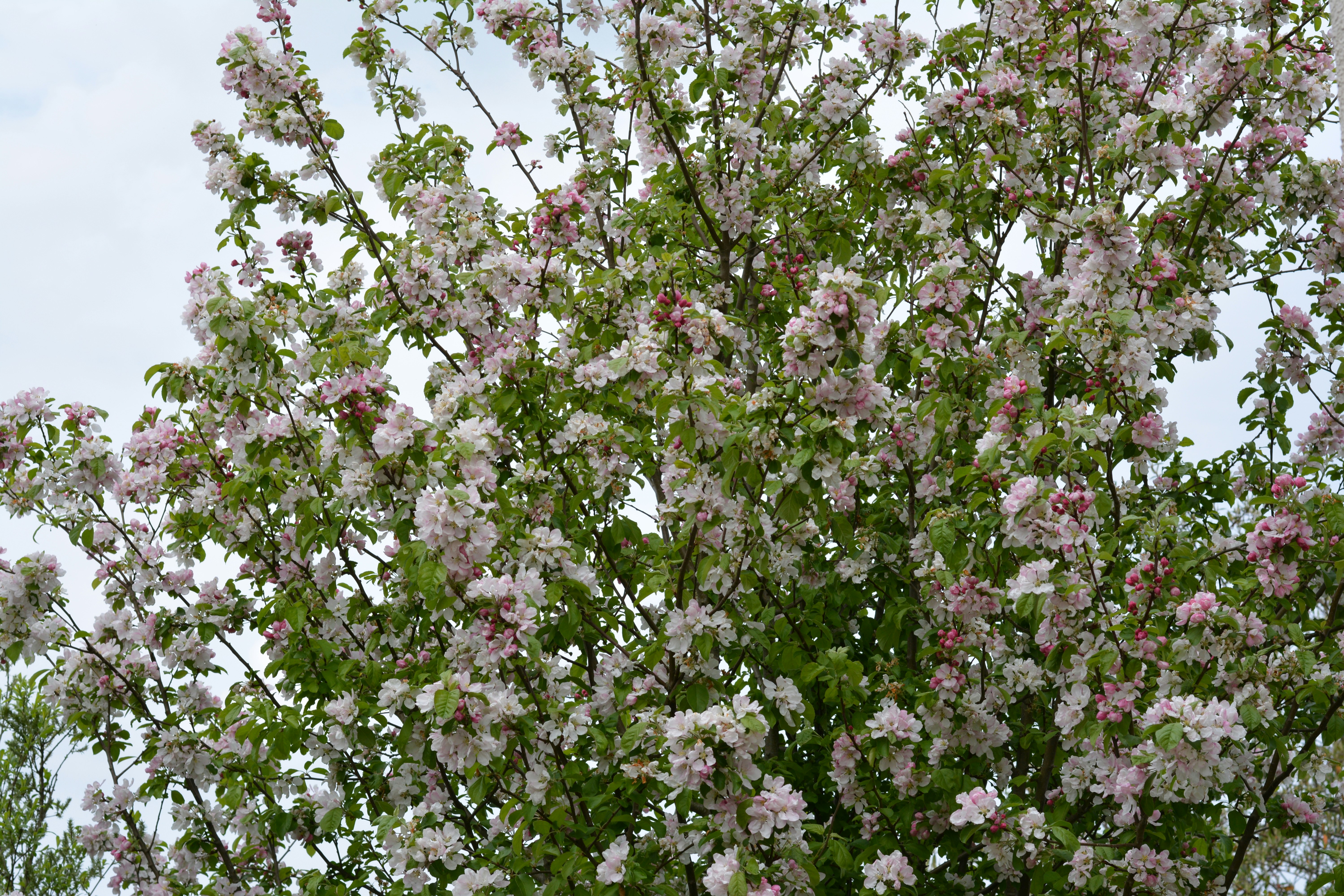 Photo by natashaguryanova