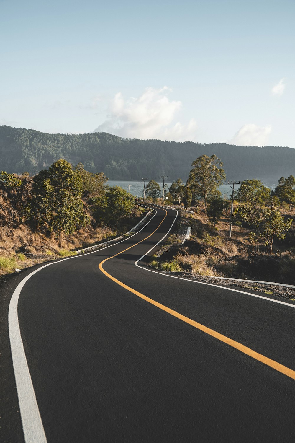 black asphalt road between green trees during daytime