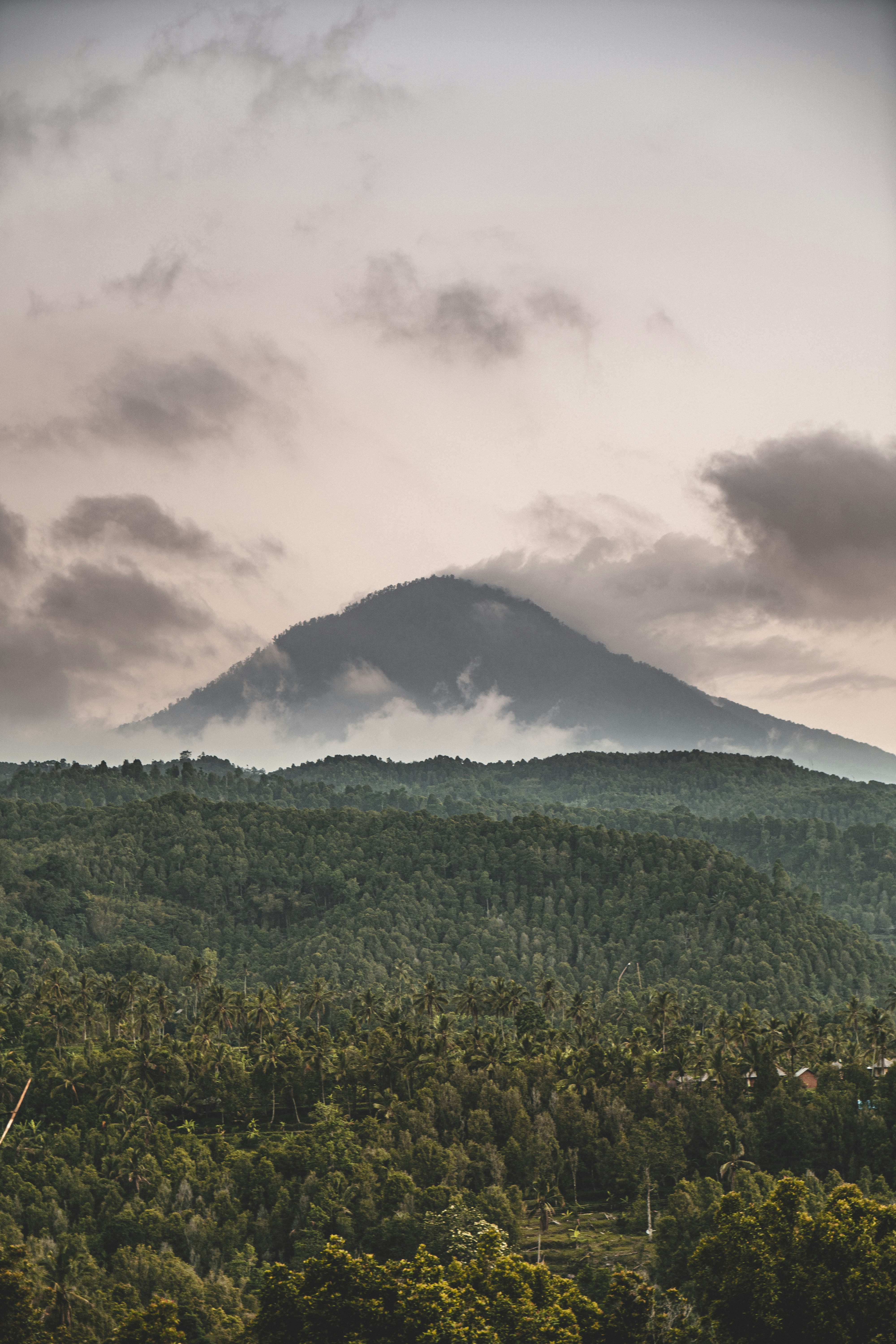 Photo by marcoulucasvisual