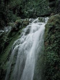 green moss on brown rock formation near waterfalls